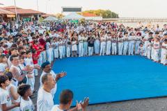 IMG_3431-Copy