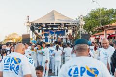 IMG_3445-Copy