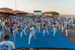 IMG_3481-Copy