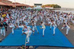 IMG_3486-Copy