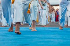IMG_3501-Copy