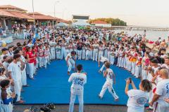 IMG_3522-Copy