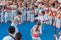 IMG_3526-Copy