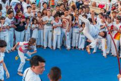 IMG_3527-Copy