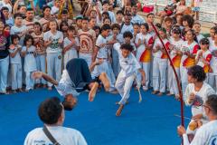 IMG_3529-Copy