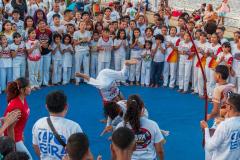 IMG_3532-Copy