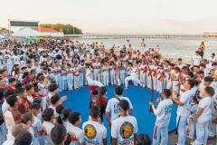 IMG_3533-Copy