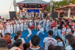 IMG_3545-Copy