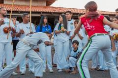 IMG_3559-Copy