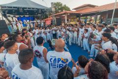 IMG_3568-Copy